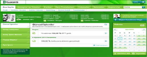 garanti internet